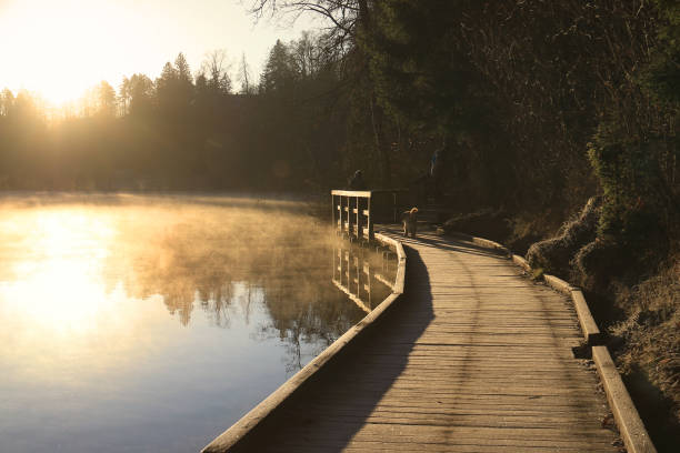 istock Bridge on the Lake Morning 1415858075