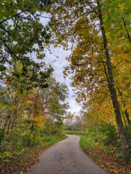 istock Winding Footpath Between Golden-Orange Autumn Trees 1415858902