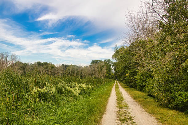 An unpaved recreational trail stretches off into the distance as it passes through a lush green landscape of fields and forests on a summer day in Wisconsin.