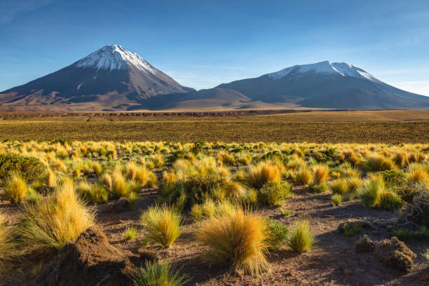 Licancabur at sunrise, Atacama, volcanic landscape, Chile, South America stock photo
