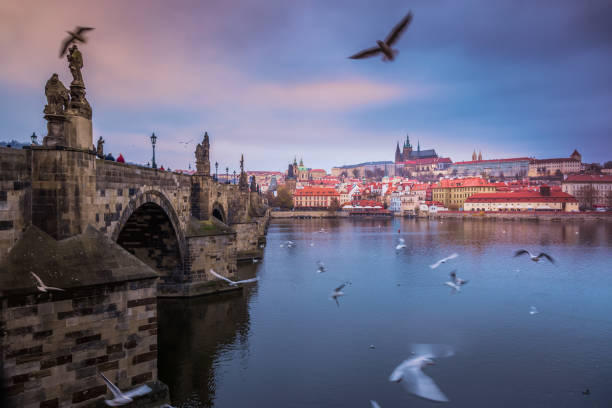 istock Charles bridge at dramatic evening with doves, Medieval Prague, Czech Republic 1415860843