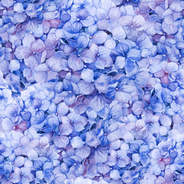 istock Seamless floral pattern of blue hydrangea. Botanical background. Hand drawn watercolor illustration. 1415862657