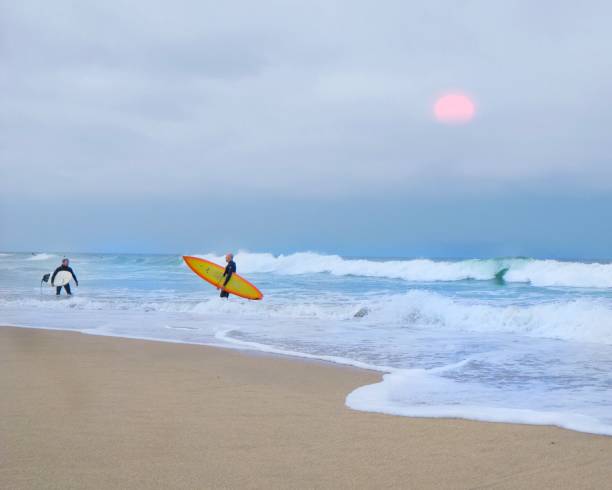 istock Surfing California style .. 1415863659