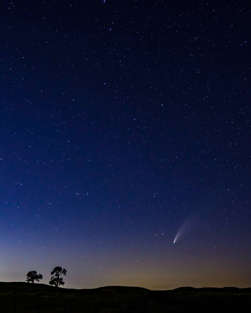 istock Comet Neowise over California oak trees 1415864571