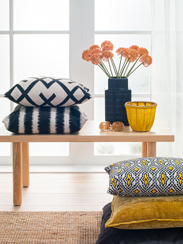 Chic home accessories and cushions  in front of a window