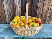 istock Fresh tomatoes in a basket 1415868935