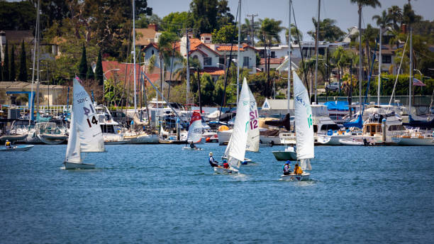 Sailing Practice stock photo