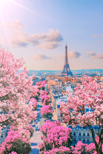 istock Paris city in the springtime 1415871750