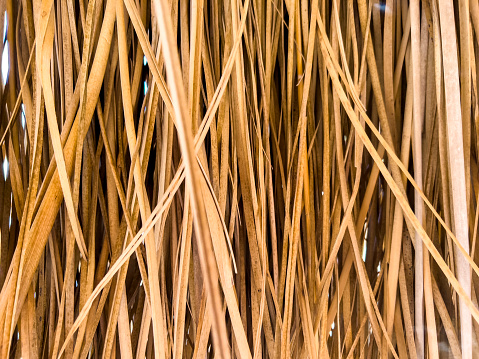 Close-up on golden yellow straw textured background with copy space. Dried reeds, thatched material texture. Decorative hay pattern for beach hut, parasol