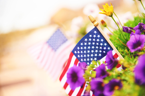 Fall background with American flags amongst vibrant petunias. Space for text
