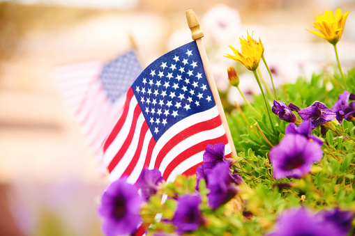 Fall background with American flags amongst vibrant petunias. Space for text