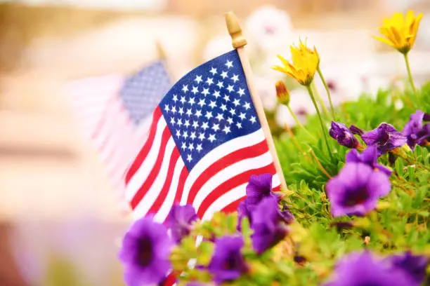 Photo of Fall background with American flags amongst vibrant petunias. Space for text
