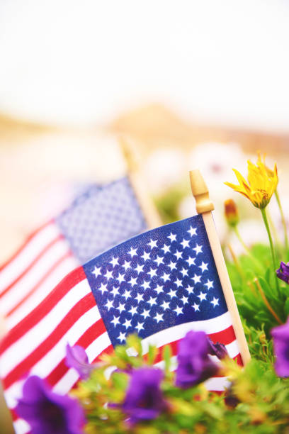istock Fall background with American flags amongst vibrant petunias. Space for text 1415875902