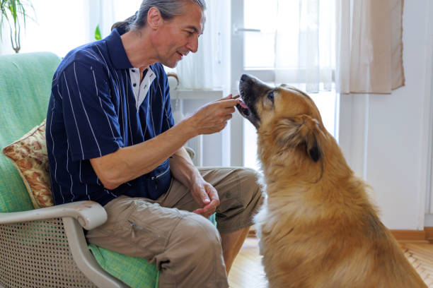 istock Giving a reward to my dog 1415876357