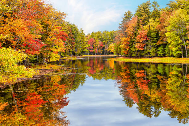 istock Autumn tree reflections in pond in New England 1415876359