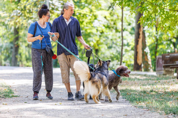 istock Spending the day with my husband and dogs 1415877035