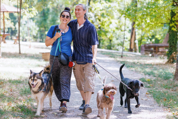 istock We go to the park every day 1415877051