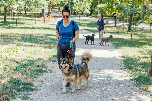 A mature Caucasian woman and her dog are cheerfully walking through the park, with her mature Caucasian husband standing behind them with two other dogs.