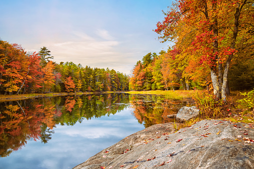 Beautiful autumn foliage reflected in still lake water in New England