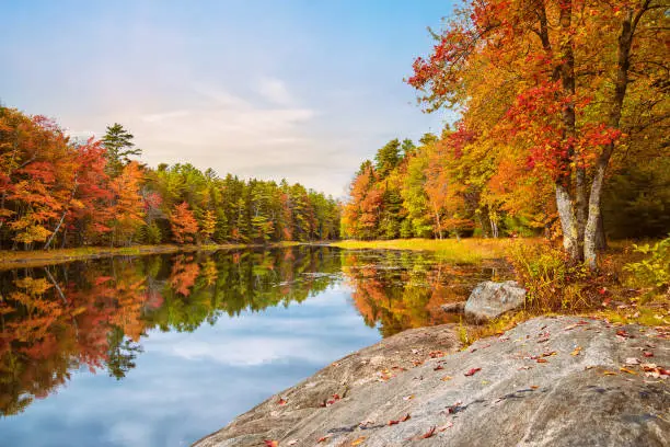 Photo of Beautiful autumn foliage reflected in still lake water in New England