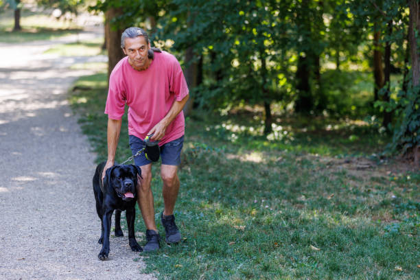 istock My dog likes to be pet on his walks 1415877902
