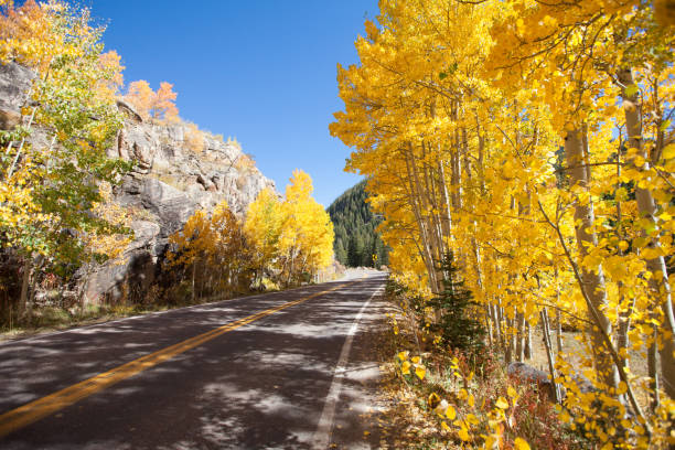 istock Red and Yellow Leaves in Autumn 1415878475