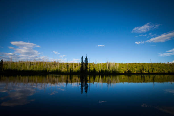 istock Lake with Reeds and Reflection 1415878479