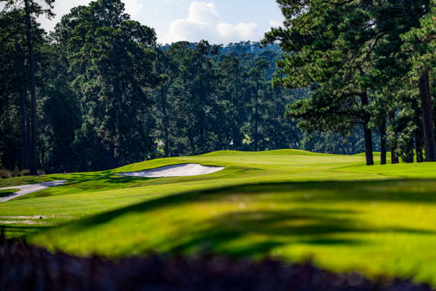 forrest hills golf course hole - campo da golf foto e immagini stock