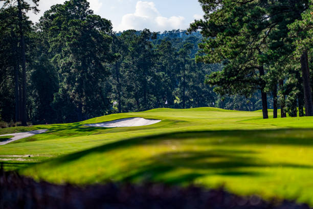 лунка для гольфа forrest hills - golf course стоковые фото и изображения