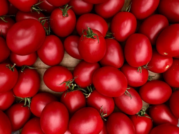 istock Ripe red homegrown plum tomatoes 1415884457