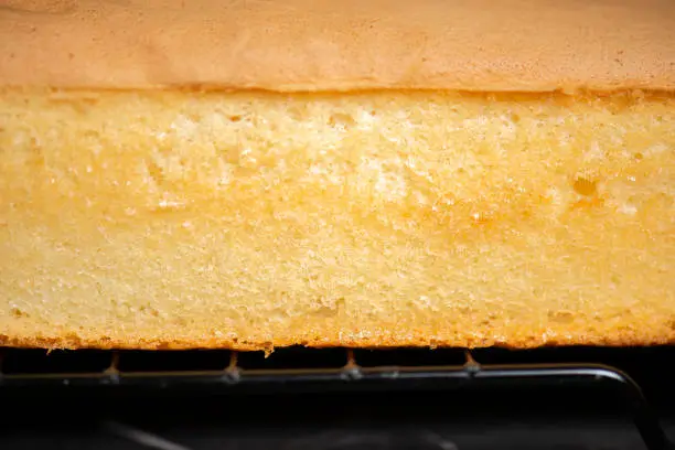 Fresh baked golden undecorated one-quarter size sponge cake slab