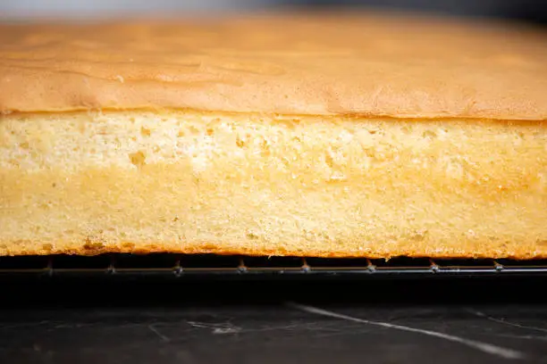 Fresh baked golden undecorated one-quarter size sponge cake slab