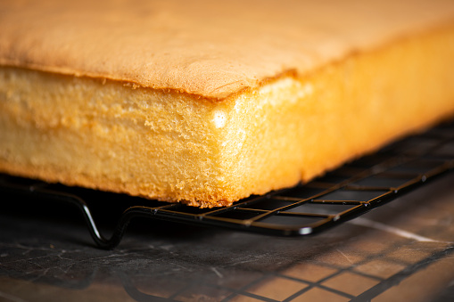 Onequarter Size Undecorated Sponge Cake Slab Stock Photo Download onequarter-size-undecorated-sponge-cake-slab-stock-photo-download