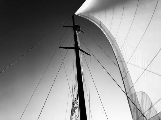 Photo of Open Sail