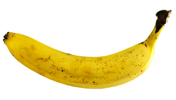 istock Yellow banana on a white background 1415888228