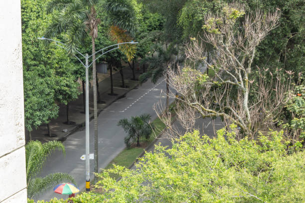 istock A vehicular road surrounded by many trees with a small colored umbrella seen from above 1415893628