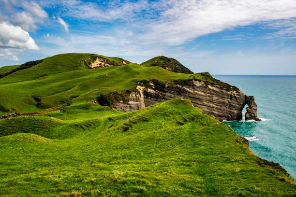Cape Farewell Lookout above the cliffs Slightly above the Cape Farewell Lookout on the walkway through the farming agricultural land along the coastline. cape farewell new zealand stock pictures, royalty-free photos & images