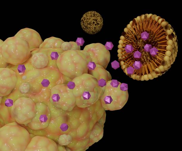 nanodrug coated by liposomes are targeting cancer cells nanodrug coated by liposomes are targeting cancer cells 3d rendering nanoparticle stock pictures, royalty-free photos & images