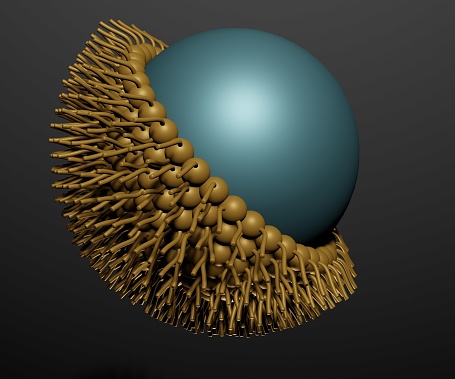 A reverse micelle is a micelle in which the nonpolar and polar phases have reversed roles and the orientation of surfactant molecules are inverted 3d rendering