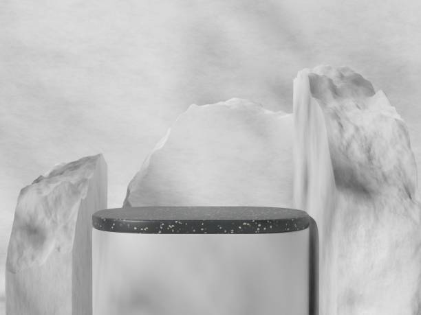 istock Abstract geometric composition with branch and shadow on the wall, Natural stone step pedestal. 3D render. Mock up for exhibitions. 1415906736