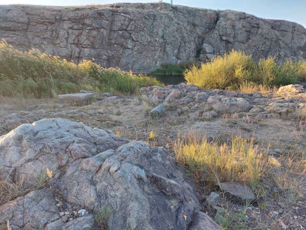 istock nature on the river rocks and vegetation 1415907835
