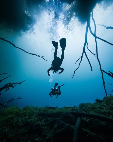 Silhouette of two scuba divers in blue water at an entrance to a cave cenote