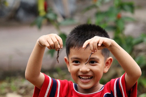 Asian Thai little boy holding a large earthworm in his hand in the backyard
