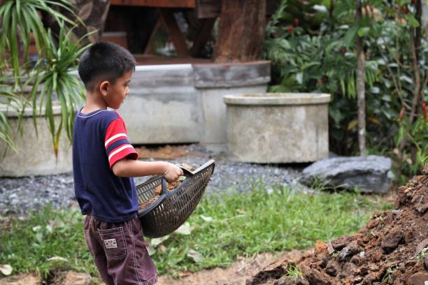 istock Asian boy pours soil from a bucket 1415919783
