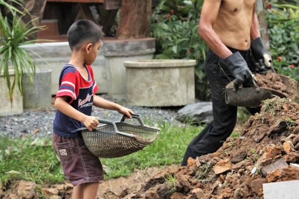 istock Asian boy pours soil from a bucket 1415919793