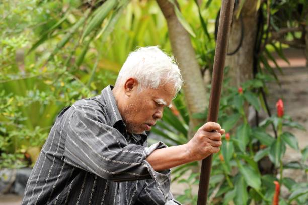 istock Old man farmer shoveling soil for plantation with hoe 1415919994