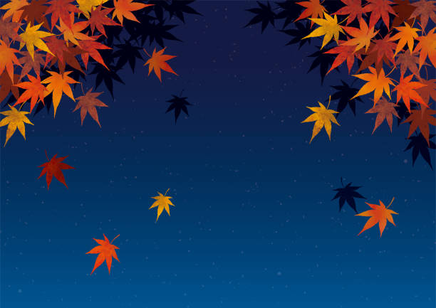 japanisches herbstlaub bei nacht hintergrund-aquarell - maple japanese maple leaf autumn stock-grafiken, -clipart, -cartoons und -symbole