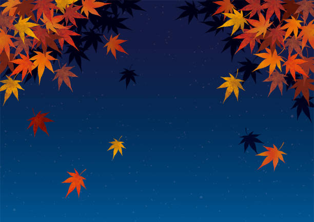夜の日本の紅葉の背景水彩画 - japanese maple点のイラスト素材／クリップアート素材／マンガ素材／アイコン素材