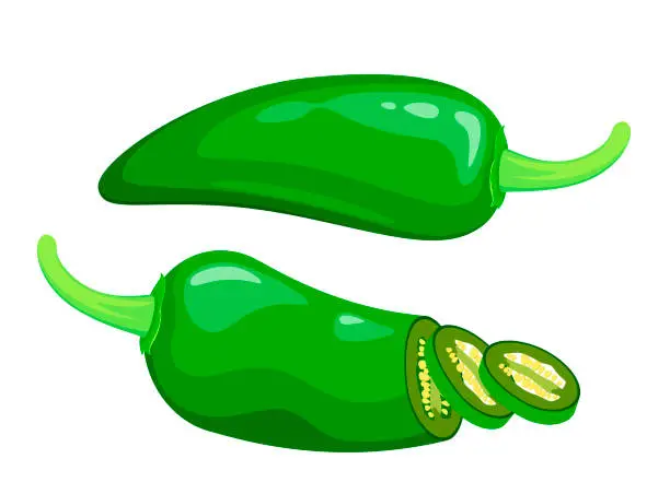 Vector illustration of Jalapeno