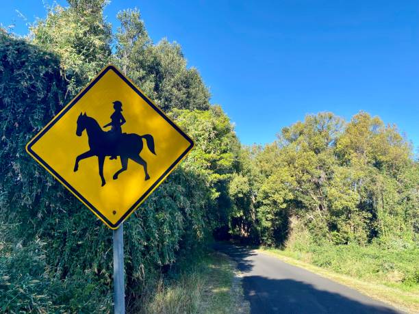 Horizontal public street sign in black and yellow cautioning a rural horse riding area to slow down driving on bitumen asphalt with tall green bushes in lush nature area of Newrybar near Byron Bay NSW Australia